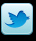Ico_twitter